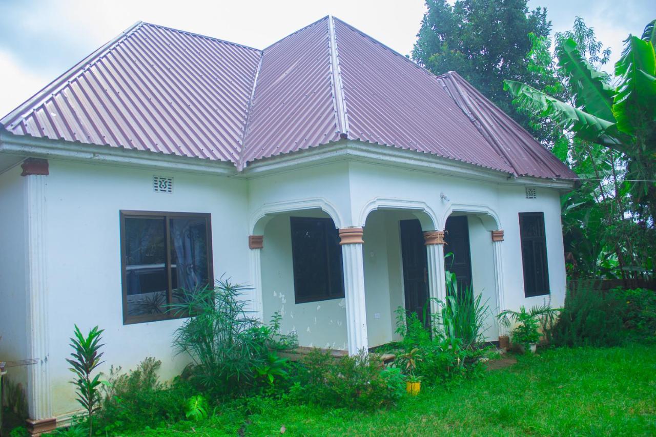 Bed and Breakfast New Dream House Arusha Exterior foto